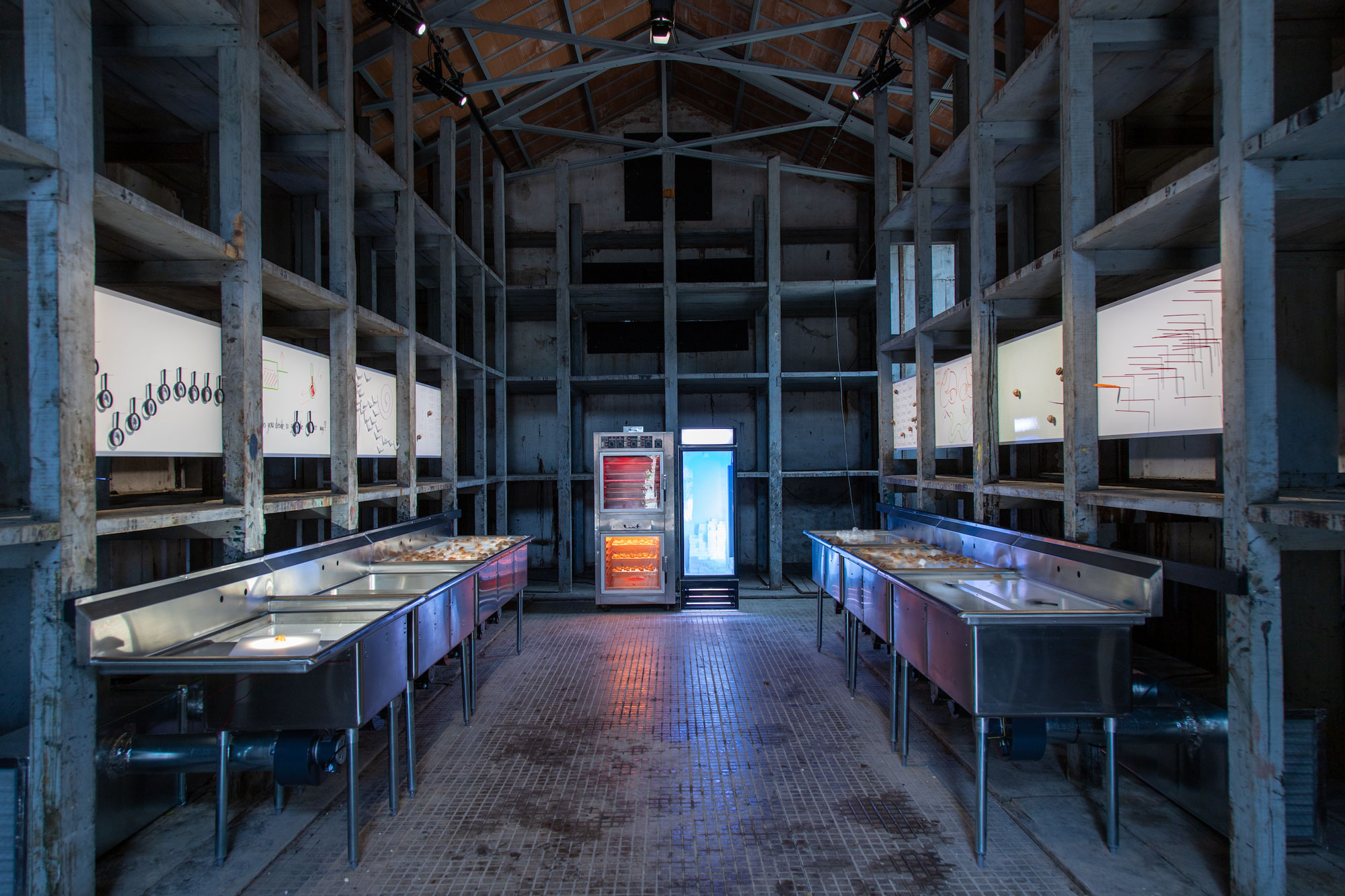 作品の展示風景。部屋の左右にガラス張りの展示台が置かれている。部屋の中央奥には保管設備のような2台の機器が並んでおり、それぞれ赤と青の光で照らされている